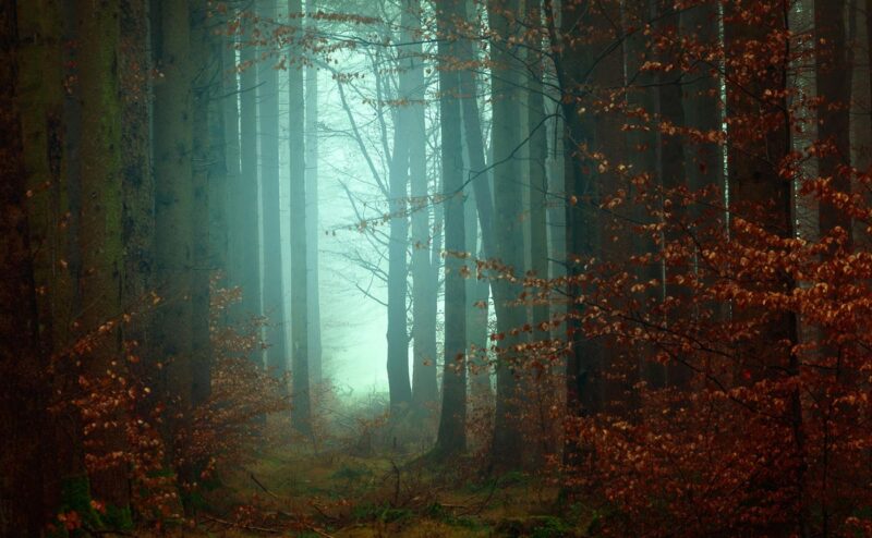 light